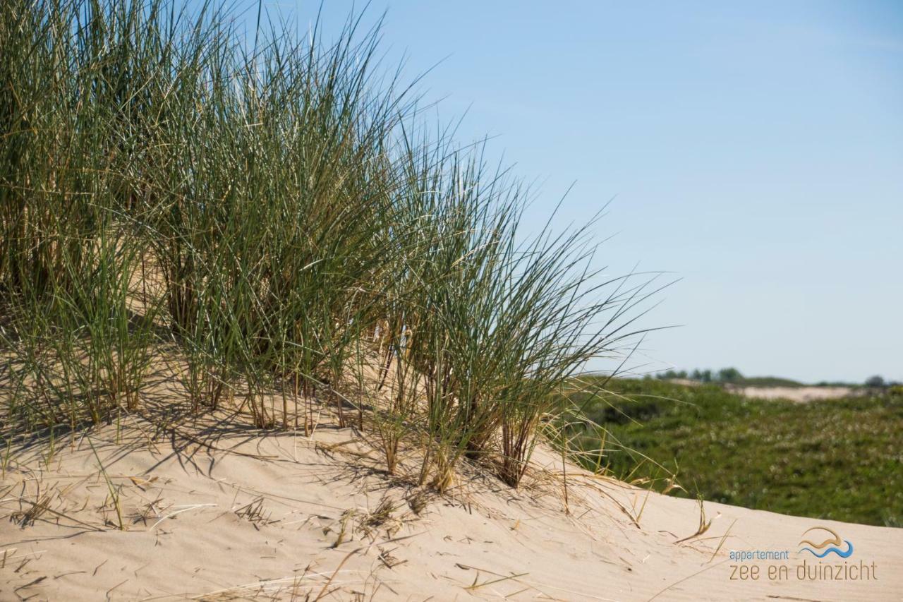 Appartement Zee En Duinzicht 78 Katwijk aan Zee Dış mekan fotoğraf