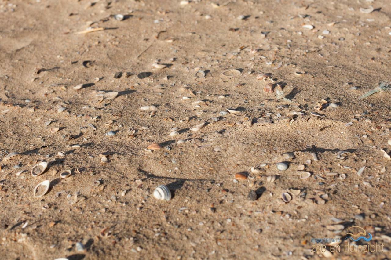 Appartement Zee En Duinzicht 78 Katwijk aan Zee Dış mekan fotoğraf